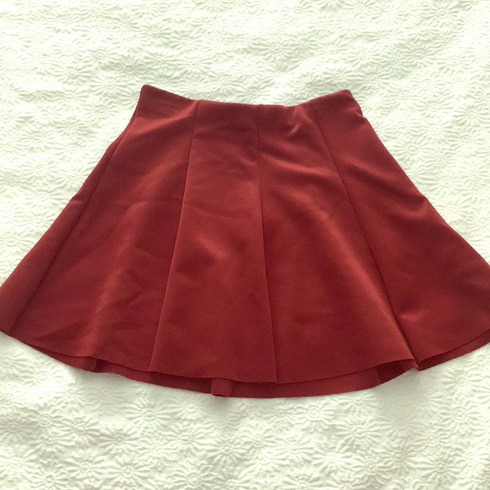 Zara Mini Skater Skirt